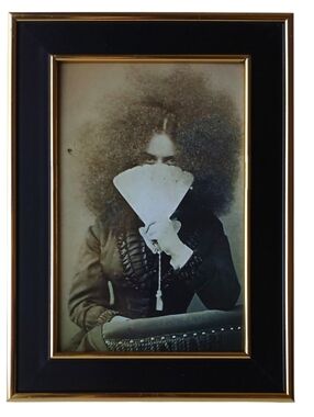 beautiful Victorian woman With Fan Vintage history victoria classic framed